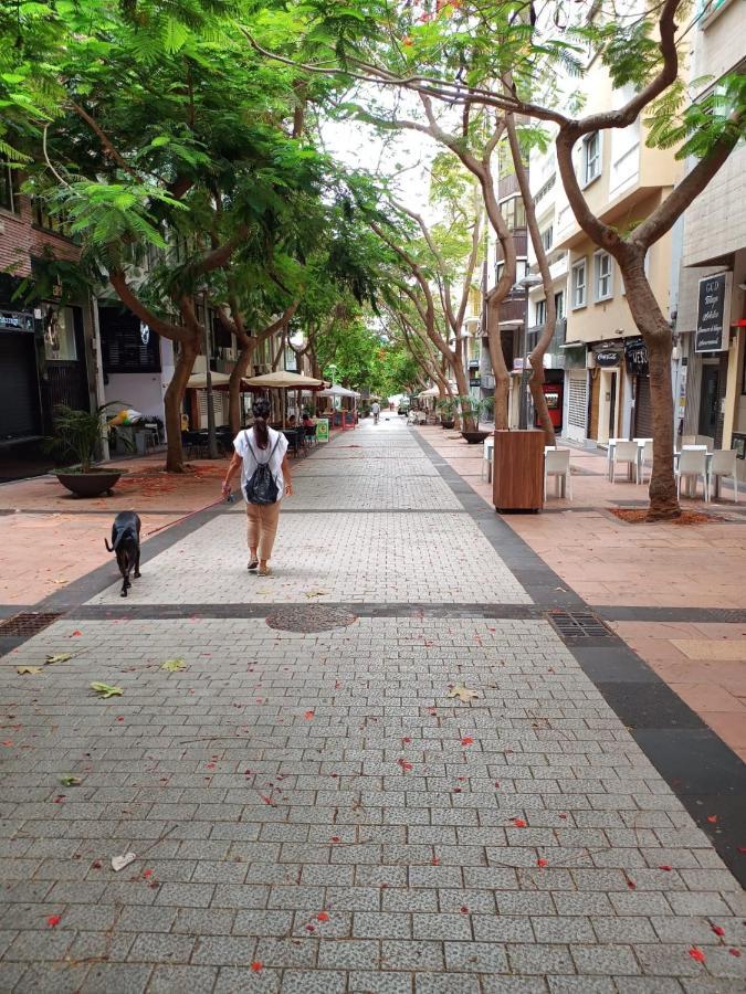 Center Santa Cruz, Alojamiento Centrico Con Gran Terraza, Cocina , Salon Y Banos, Todo Privado Exterior photo